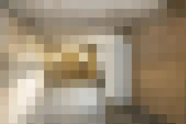 Leeuweriklaan 8 Hoogeveen thumbnail 40