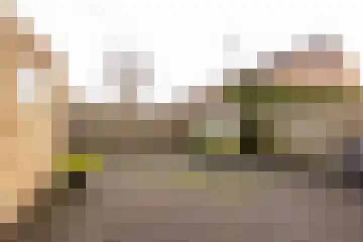 Leeuweriklaan 8 Hoogeveen thumbnail 41