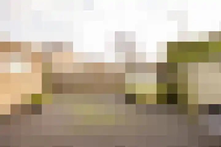 Leeuweriklaan 8 Hoogeveen thumbnail 42