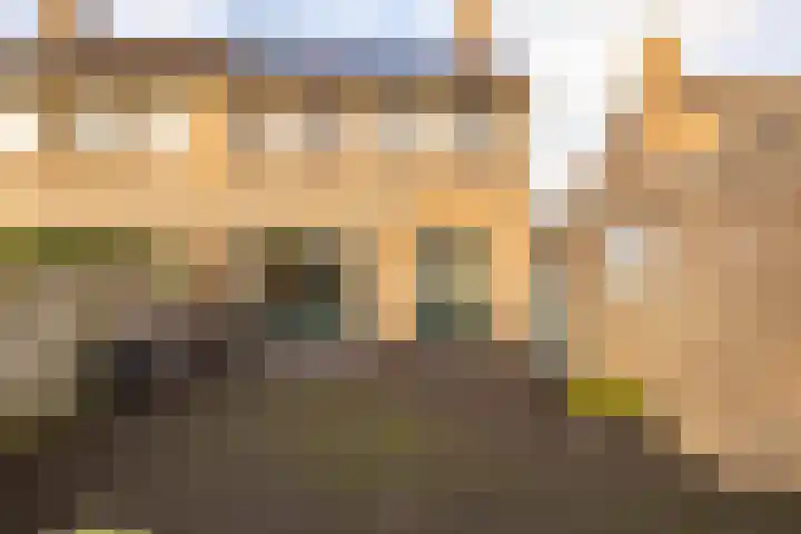 Leeuweriklaan 8 Hoogeveen thumbnail 43