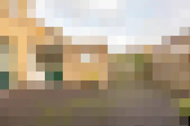 Leeuweriklaan 8 Hoogeveen thumbnail 44