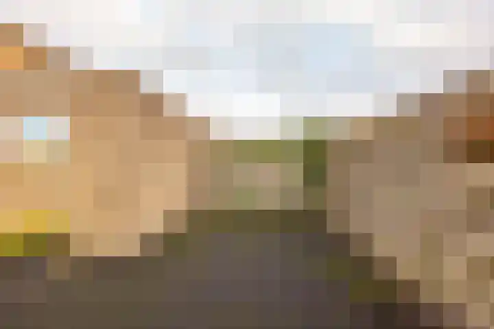 Leeuweriklaan 8 Hoogeveen thumbnail 45