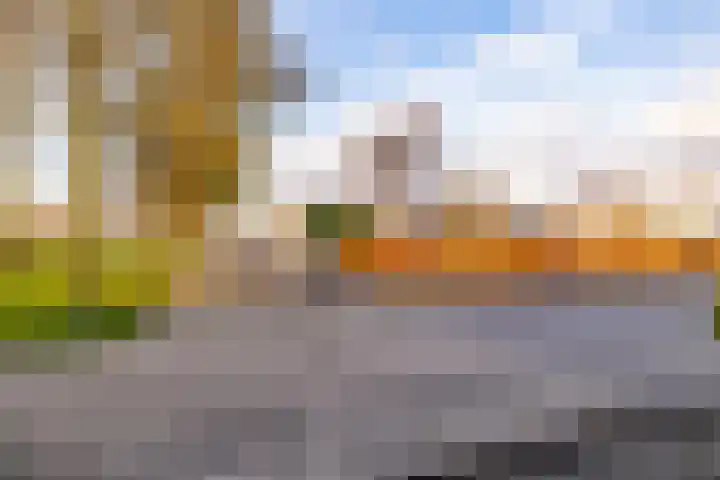 Leeuweriklaan 8 Hoogeveen thumbnail 50