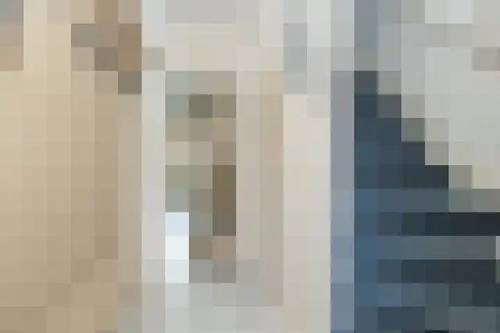 Leeuweriklaan 8 Hoogeveen thumbnail 7