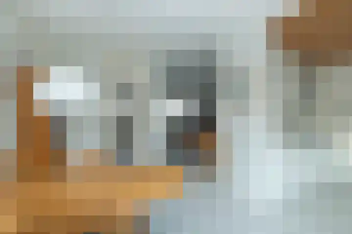 Leeuweriklaan 8 Hoogeveen thumbnail 9