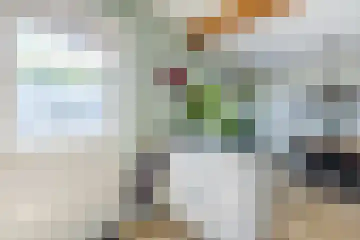 Leeuweriklaan 84 Hoogeveen thumbnail 13