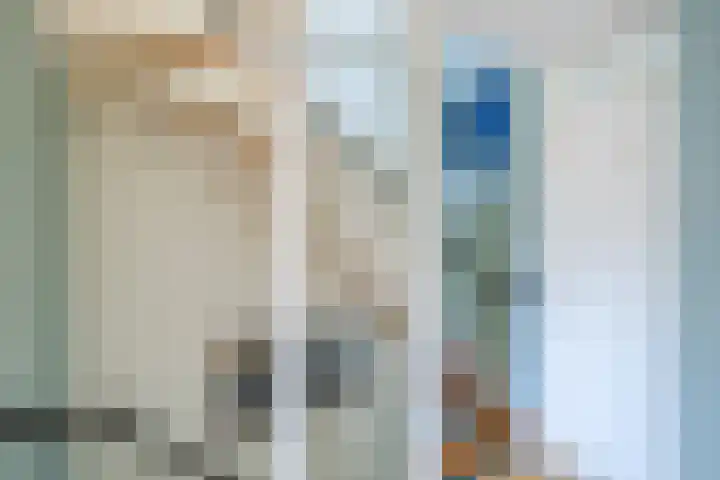 Leeuweriklaan 84 Hoogeveen thumbnail 22