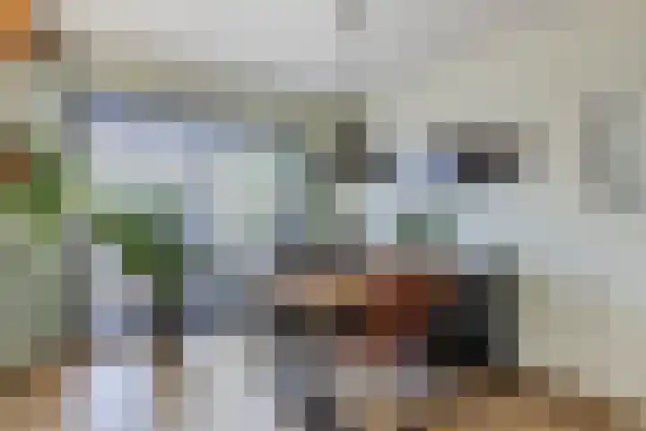 Leeuweriklaan 84 Hoogeveen thumbnail 8