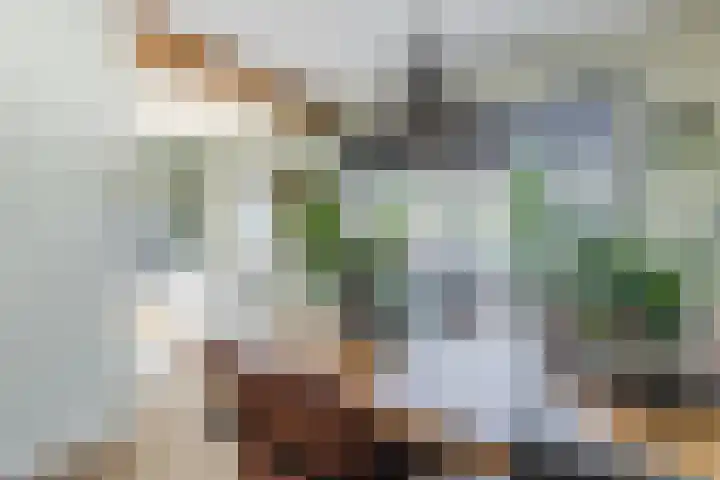 Leeuweriklaan 84 Hoogeveen thumbnail 9