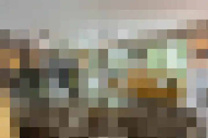 Leeuweriklaan 9 a Hoogeveen thumbnail 10