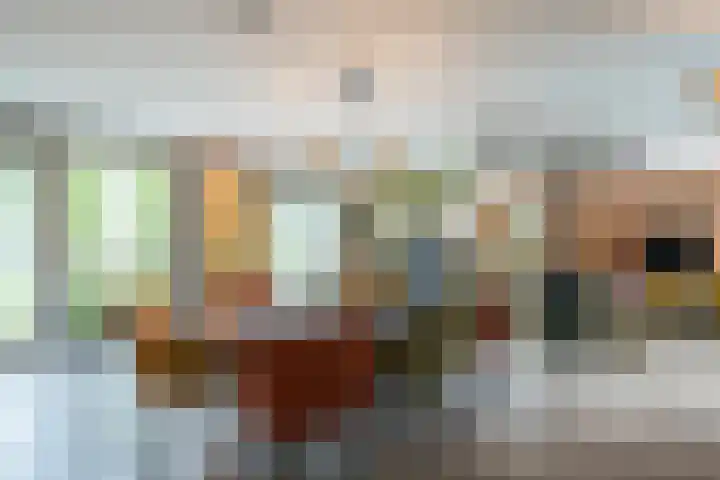 Leeuweriklaan 9 a Hoogeveen thumbnail 13