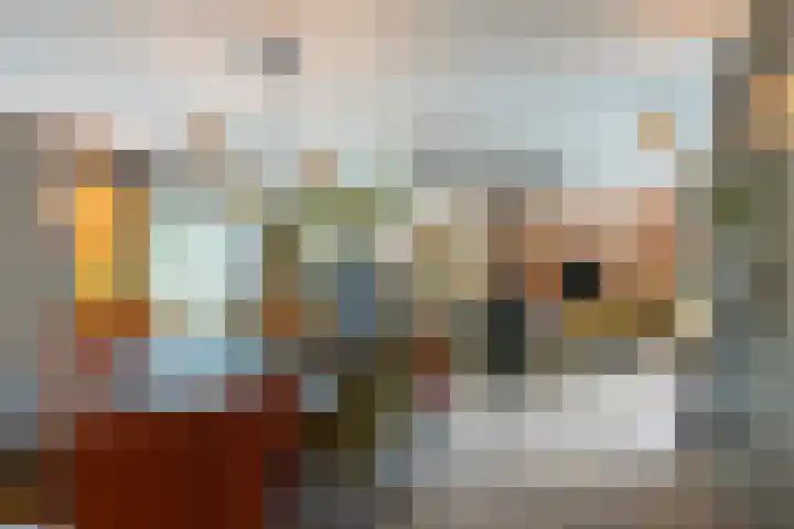 Leeuweriklaan 9 a Hoogeveen thumbnail 14