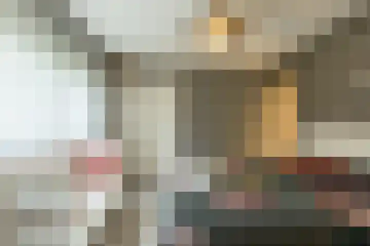 Leeuweriklaan 9 a Hoogeveen thumbnail 36