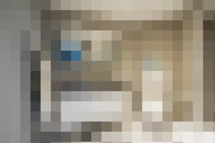Leeuweriklaan 9 a Hoogeveen thumbnail 39