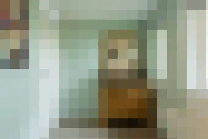Leeuweriklaan 9 a Hoogeveen thumbnail 45
