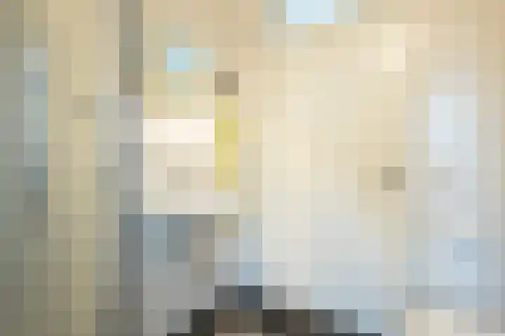 Leeuweriklaan 9 a Hoogeveen thumbnail 49