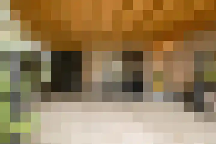 Leeuweriklaan 9 a Hoogeveen thumbnail 5
