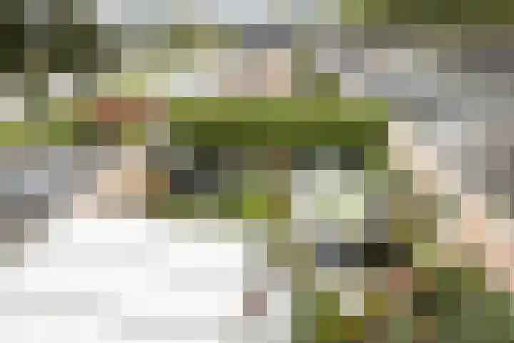 Leeuweriklaan 9 a Hoogeveen thumbnail 50