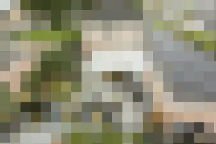 Leeuweriklaan 9 a Hoogeveen thumbnail 51