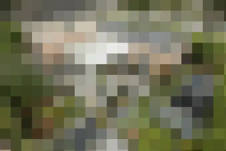 Leeuweriklaan 9 a Hoogeveen thumbnail 52