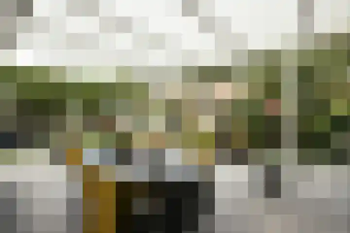 Leeuweriklaan 9 a Hoogeveen thumbnail 53