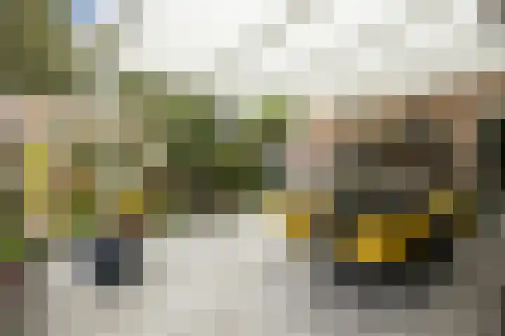 Leeuweriklaan 9 a Hoogeveen thumbnail 55