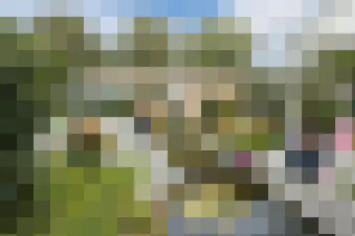 Leeuweriklaan 9 a Hoogeveen thumbnail 56