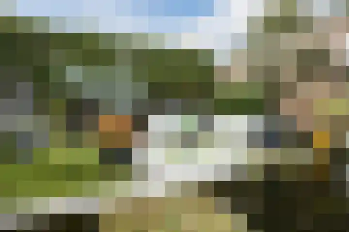 Leeuweriklaan 9 a Hoogeveen thumbnail 57