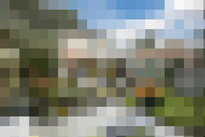 Leeuweriklaan 9 a Hoogeveen thumbnail 59