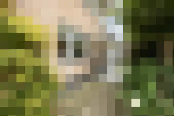 Leeuweriklaan 9 a Hoogeveen thumbnail 6