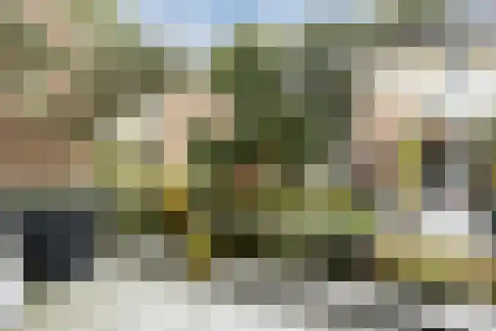 Leeuweriklaan 9 a Hoogeveen thumbnail 60