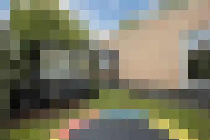 Leeuweriklaan 9 a Hoogeveen thumbnail 64