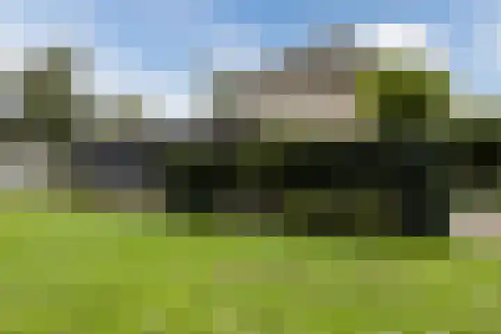 Leeuweriklaan 9 a Hoogeveen thumbnail 66