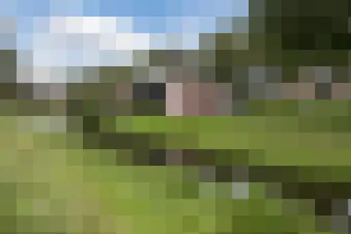Leeuweriklaan 9 a Hoogeveen thumbnail 67