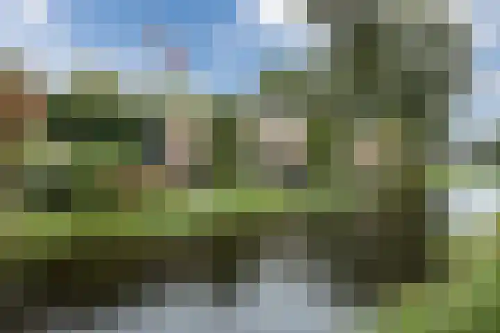 Leeuweriklaan 9 a Hoogeveen thumbnail 68