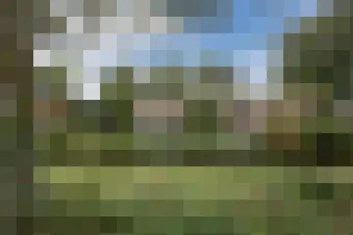 Leeuweriklaan 9 a Hoogeveen thumbnail 69