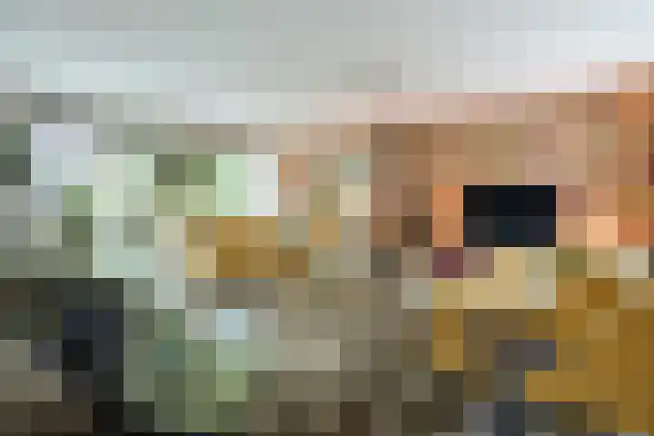 Leeuweriklaan 9 a Hoogeveen thumbnail 7