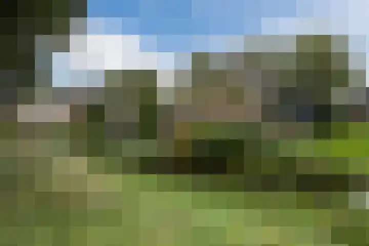 Leeuweriklaan 9 a Hoogeveen thumbnail 70