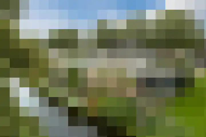 Leeuweriklaan 9 a Hoogeveen thumbnail 71