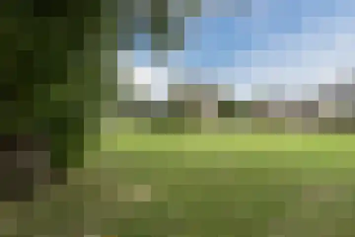 Leeuweriklaan 9 a Hoogeveen thumbnail 72