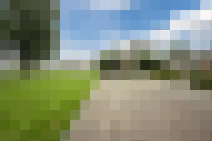 Leeuweriklaan 9 a Hoogeveen thumbnail 73