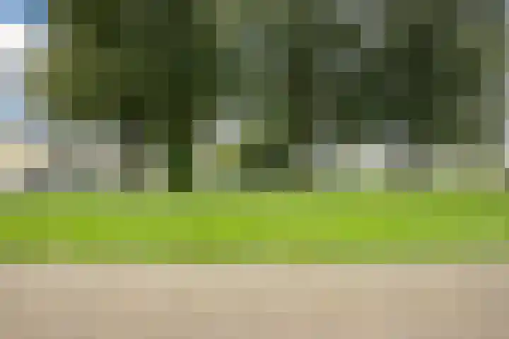 Leeuweriklaan 9 a Hoogeveen thumbnail 74