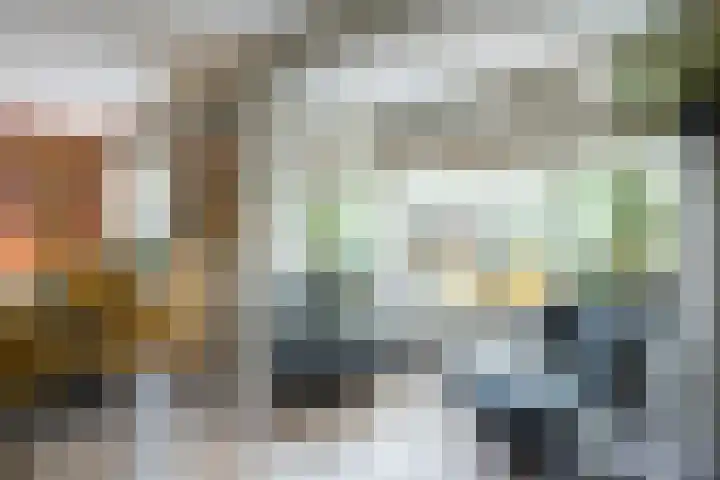 Leeuweriklaan 9 a Hoogeveen thumbnail 8