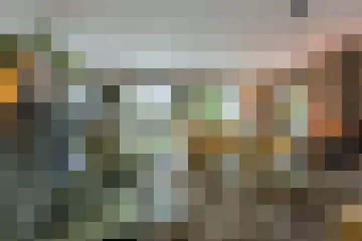 Leeuweriklaan 9 a Hoogeveen thumbnail 9
