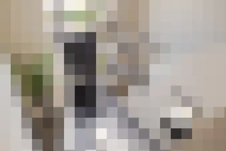 Leeuweriklaan 9 Dongen thumbnail 11