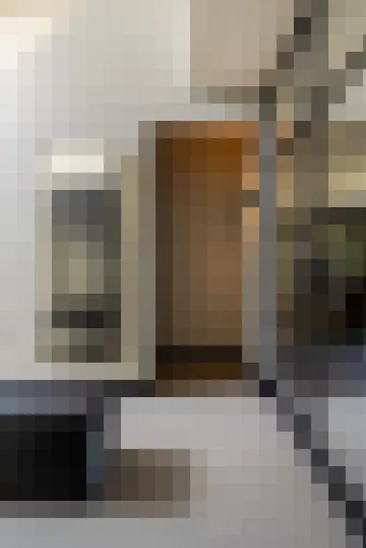 Leeuweriklaan 9 Dongen thumbnail 13