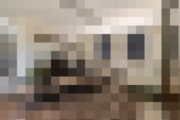 Leeuweriklaan 9 Dongen thumbnail 14