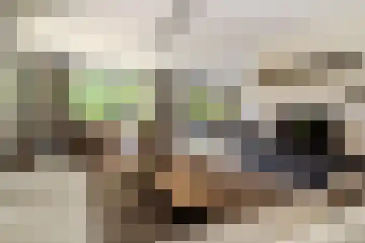 Leeuweriklaan 9 Dongen thumbnail 15