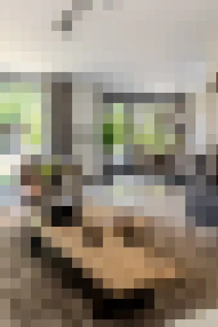 Leeuweriklaan 9 Dongen thumbnail 19