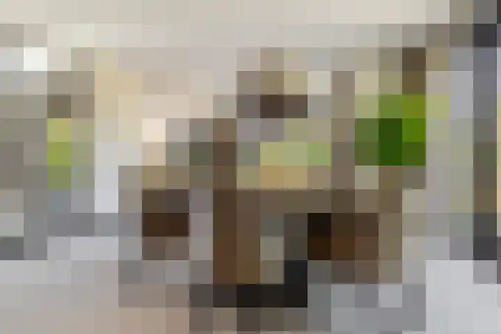 Leeuweriklaan 9 Dongen thumbnail 21